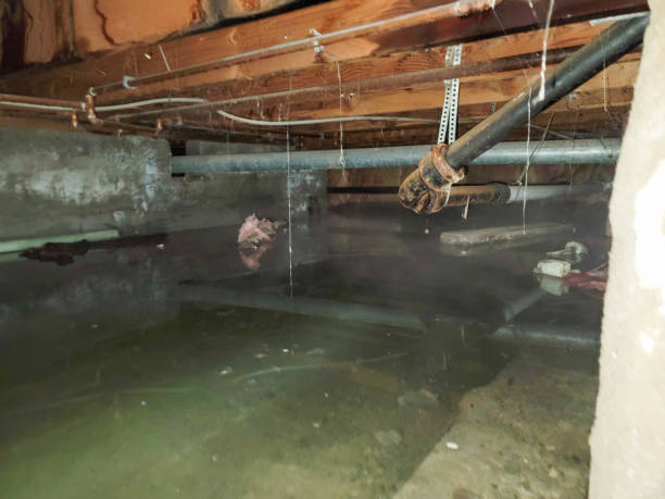 Best 24/7 water damage repair  in Fairfax, CA