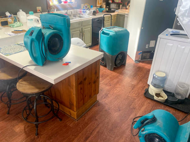 Best Ceiling water damage repair  in Fairfax, CA