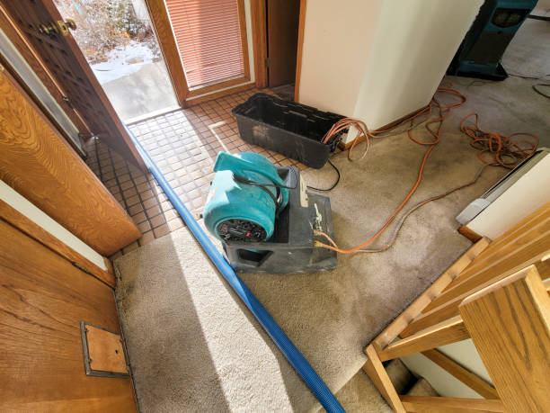 Best Local water damage restoration  in Fairfax, CA