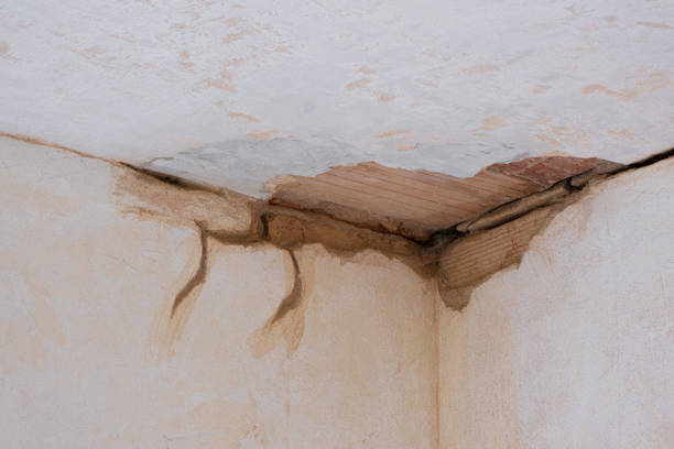 Best Flooded house restoration  in Fairfax, CA