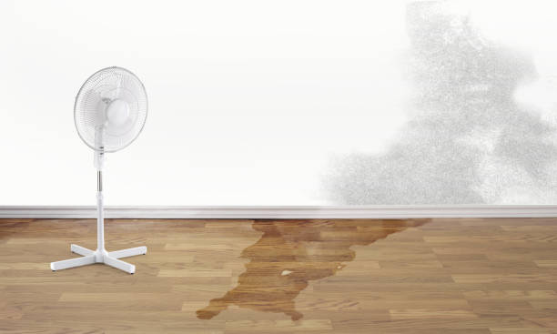Best Water damage contractors near me  in Fairfax, CA