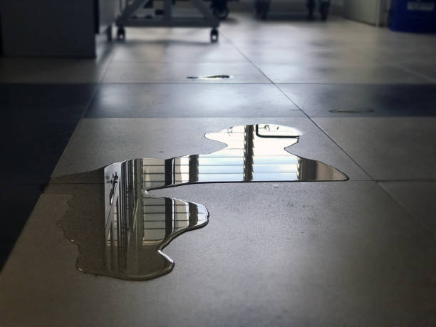 Best Professional water damage repair  in Fairfax, CA