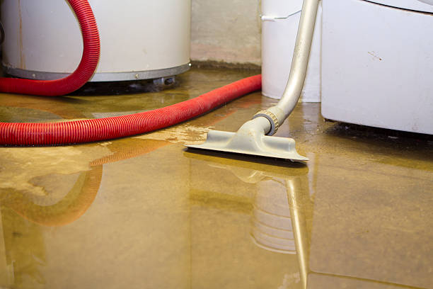 Best Flood damage cleanup  in Fairfax, CA