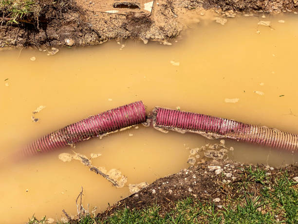 Best Water damage repair service  in Fairfax, CA
