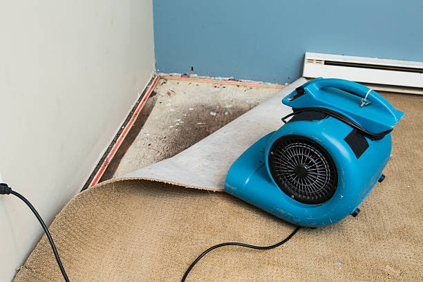 Best Emergency water damage restoration  in Fairfax, CA